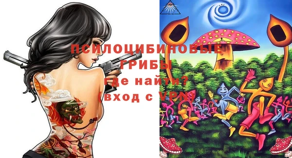 амф Алзамай