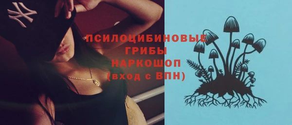 амф Алзамай