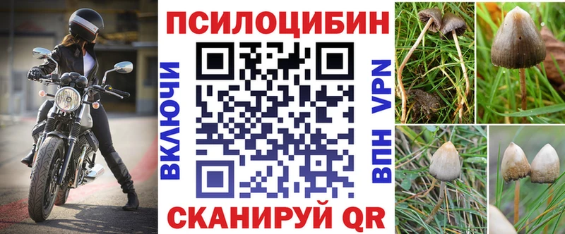 закладки  Обнинск  Галлюциногенные грибы Psilocybe 
